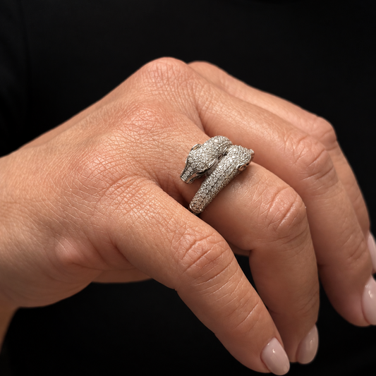 Anillo Vínculo
