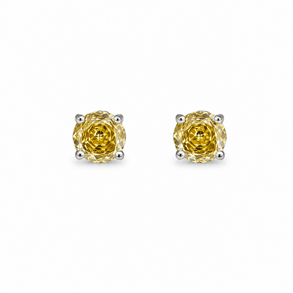 Arete Aurelia