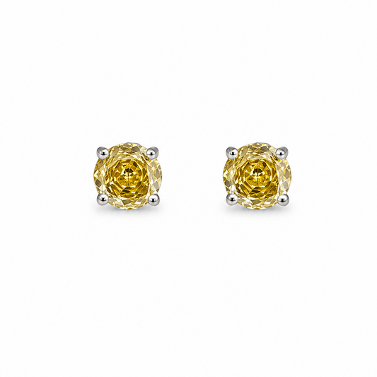 Arete Aurelia