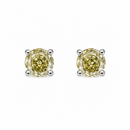Arete Aurelia
